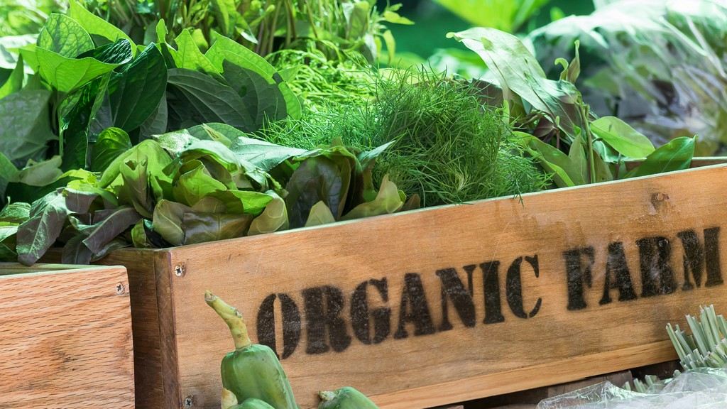 Certification Steps for Organic Farmers