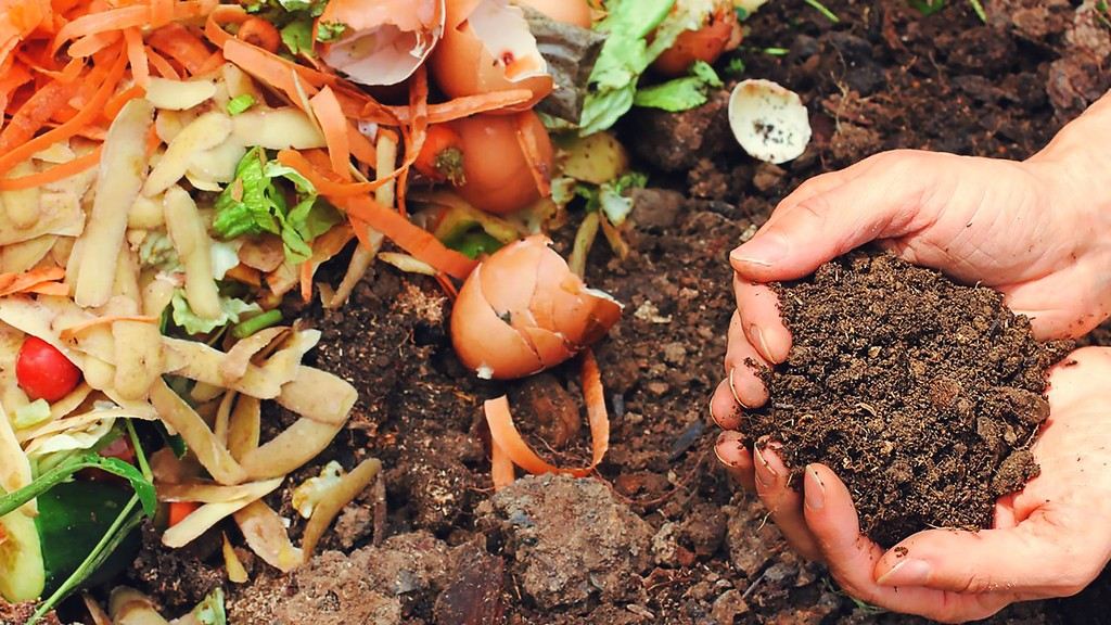Composting and Organic Waste Solutions