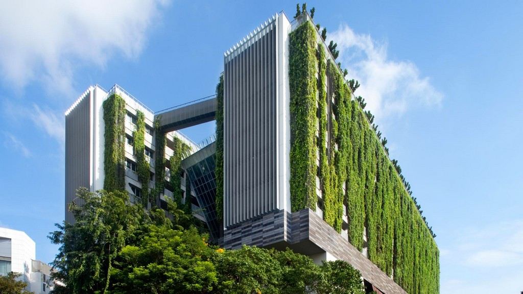 Eco-Friendly Building Practices