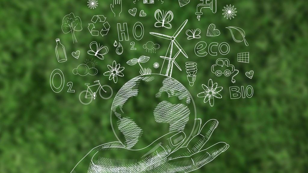 Eco-Friendly Certification for Everyday Items