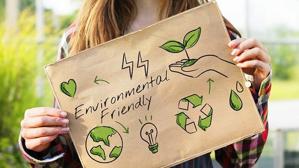 Eco-Friendly Production Standards