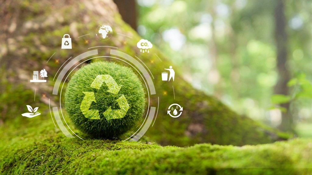 Eco-Friendly Travel Certifications
