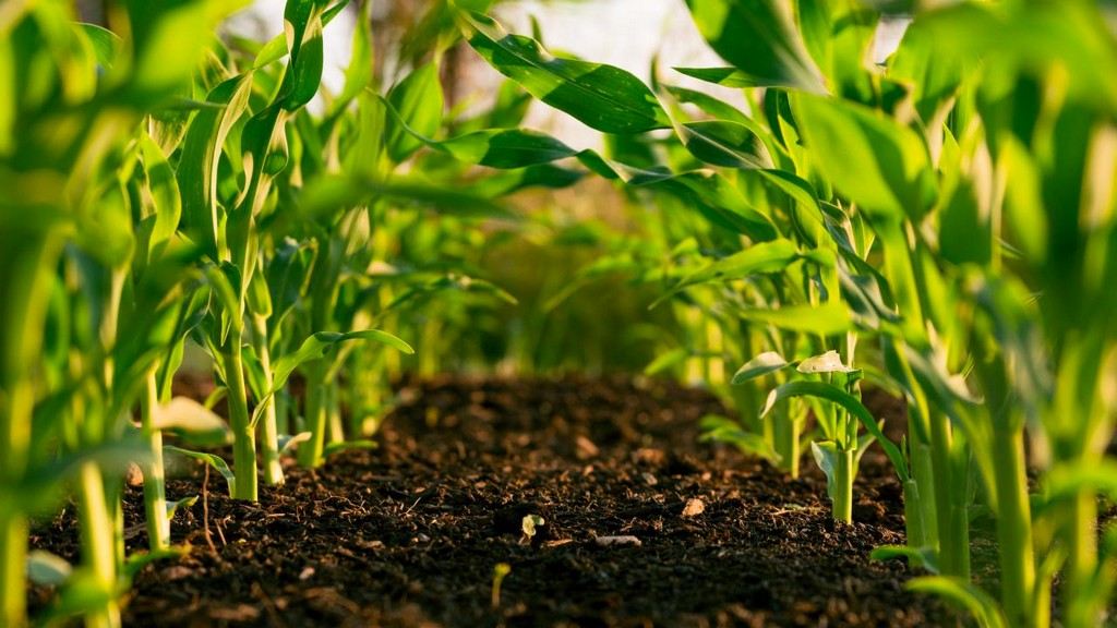 Green Label for Sustainable Agriculture