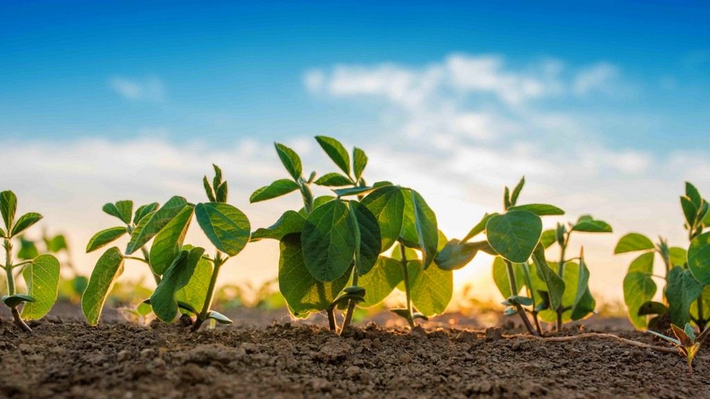 Impact of Green Label on Agriculture Exports