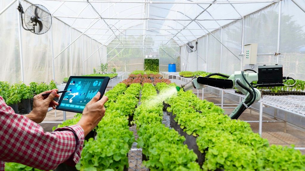 Sustainable Sourcing in the Food Industry